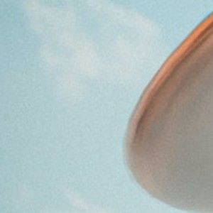 Meet your Posher, Latrice